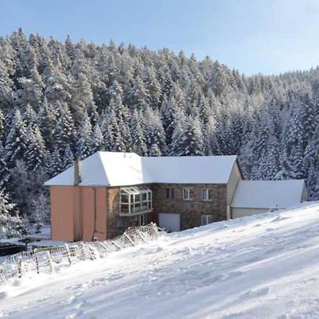 Gite Gretel De La Ferme Du Schneeberg Wangenbourg-Engenthal Exterior photo