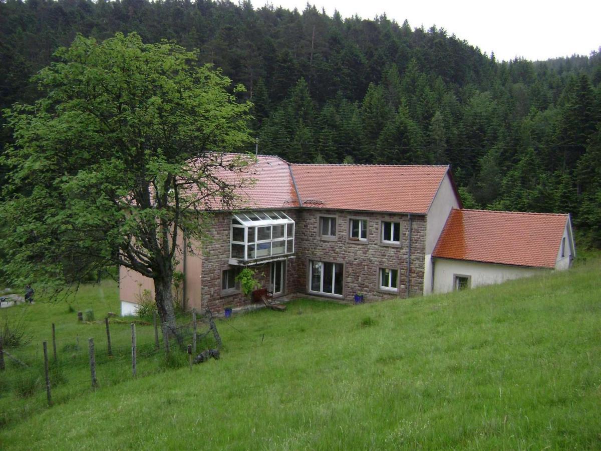 Gite Gretel De La Ferme Du Schneeberg Wangenbourg-Engenthal Exterior photo