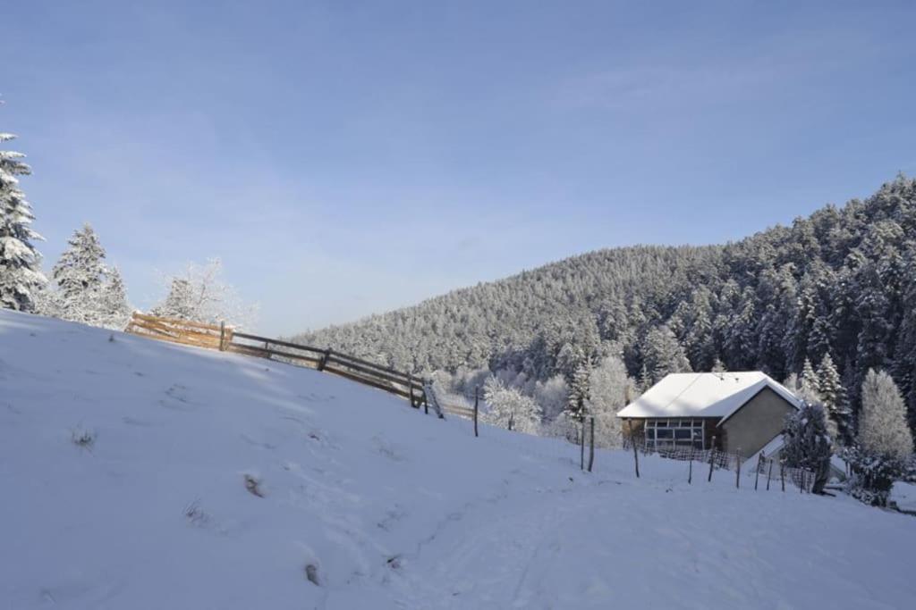 Gite Gretel De La Ferme Du Schneeberg Wangenbourg-Engenthal Exterior photo